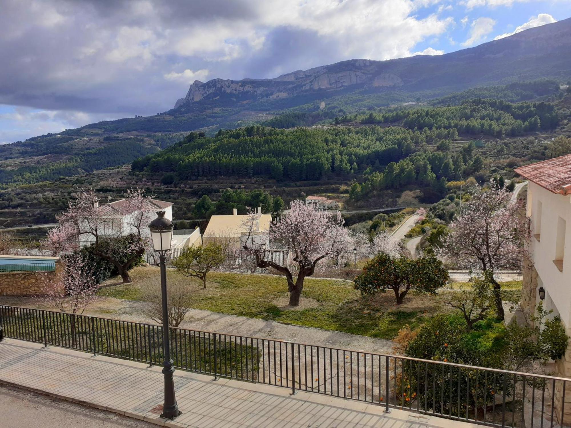 Guadalest Panorama Lejlighed Eksteriør billede